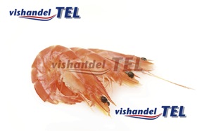 gekookte garnalen.jpg gekookte garnalen.jpg